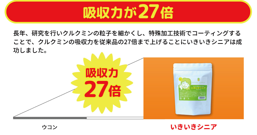 クルクミン,認知症