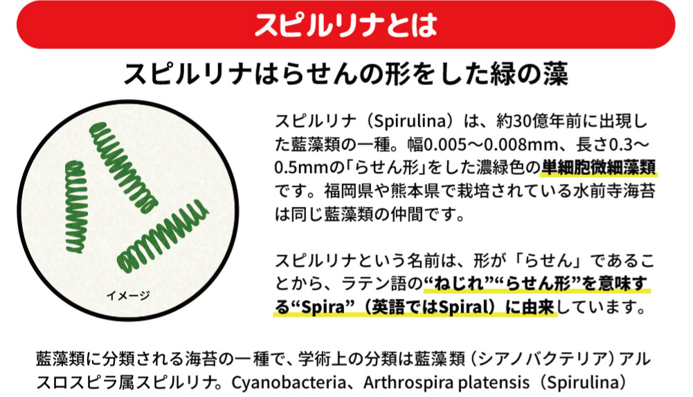 クルクミン,認知症