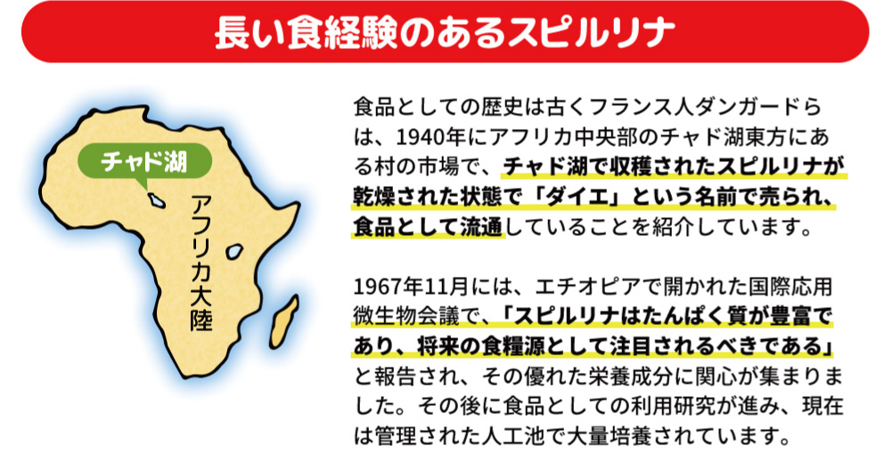 クルクミン,認知症