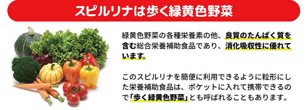 クルクミン,認知症