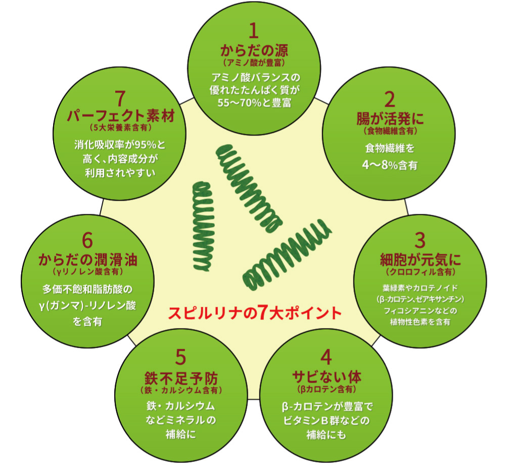 クルクミン,認知症