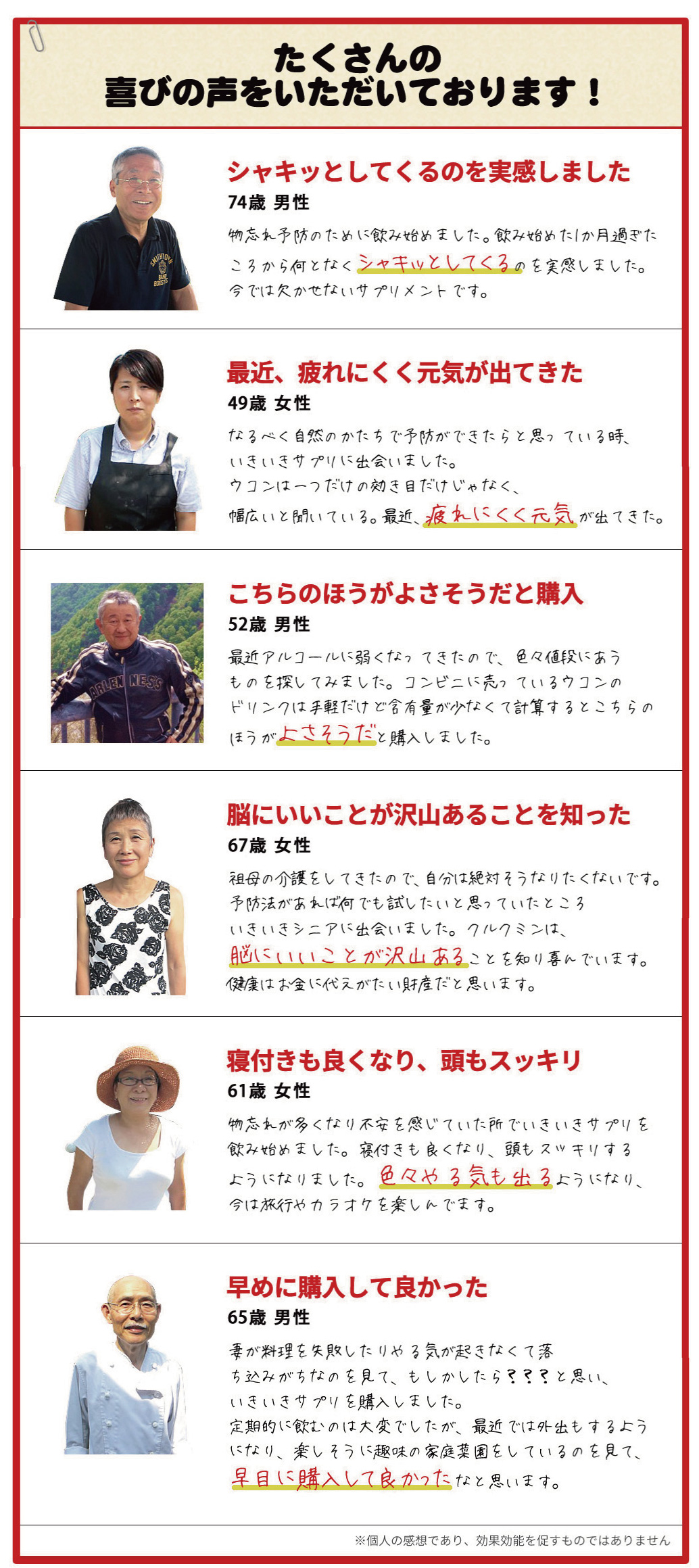 クルクミン,認知症