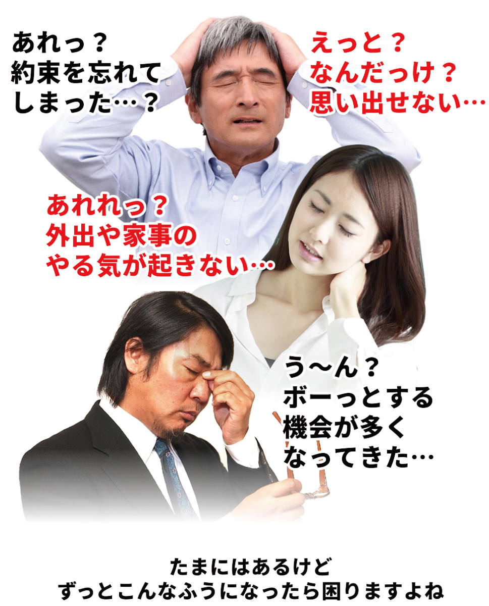 クルクミン,認知症