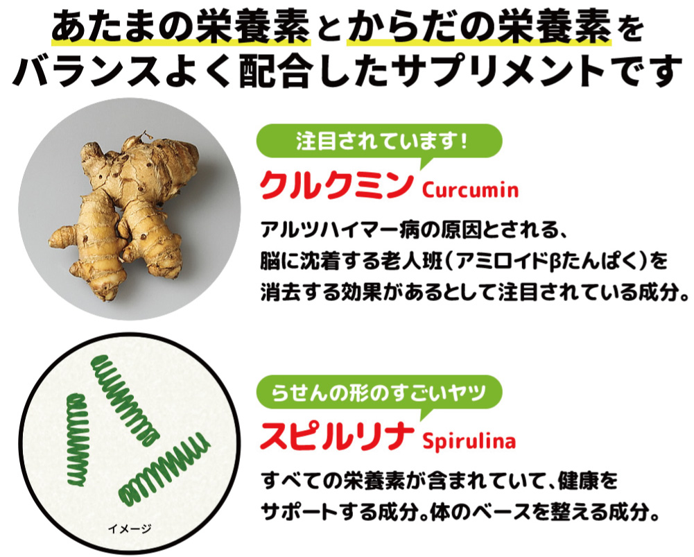 クルクミン,認知症